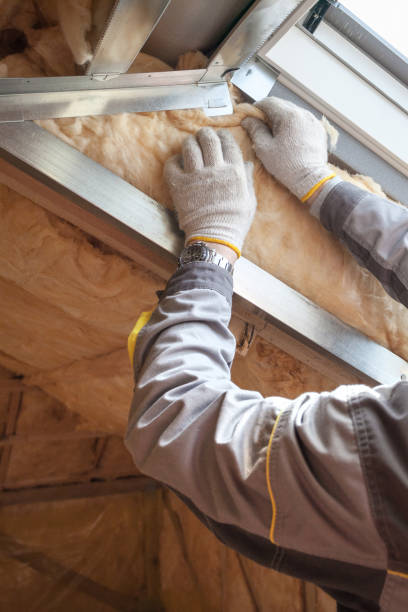 Professional Insulation Contractor in Wray, CO