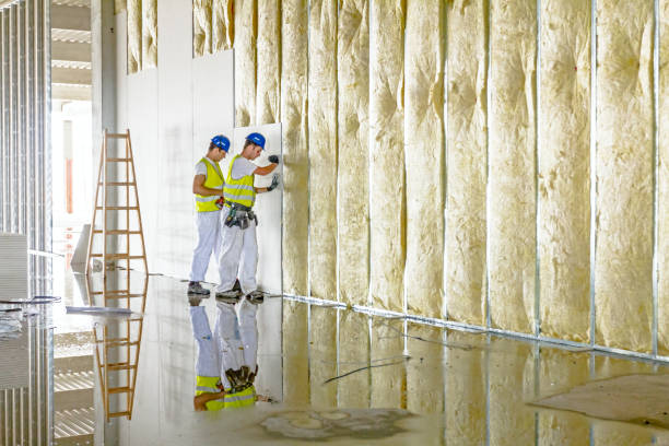 Best Specialized Insulation Services in Wray, CO